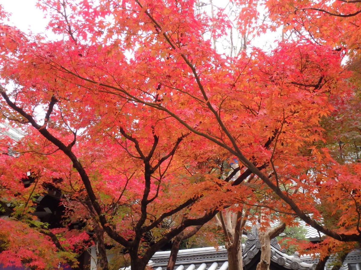 Hotel Kyo No Yado Nishioji Kjóto Exteriér fotografie