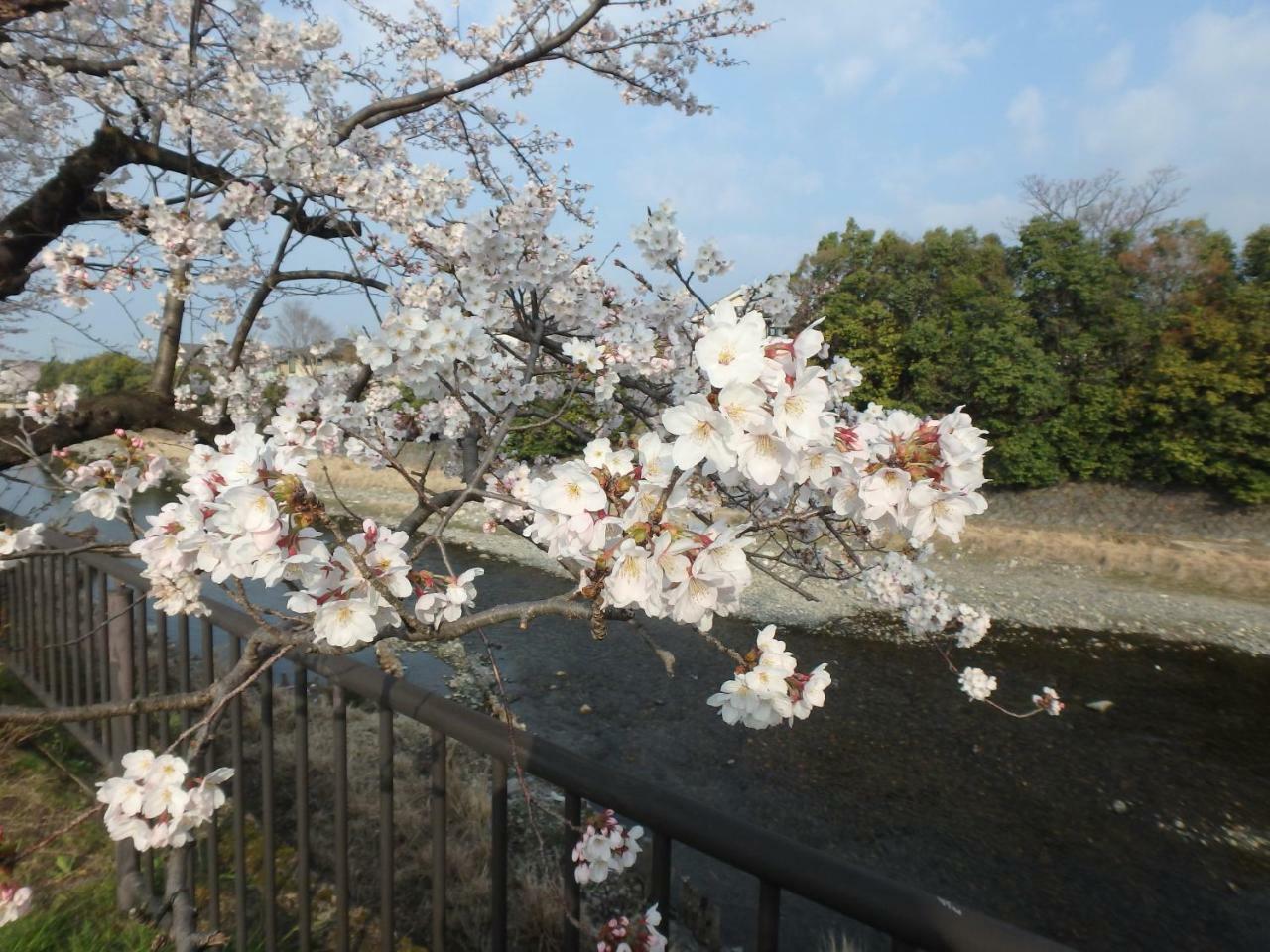 Hotel Kyo No Yado Nishioji Kjóto Exteriér fotografie